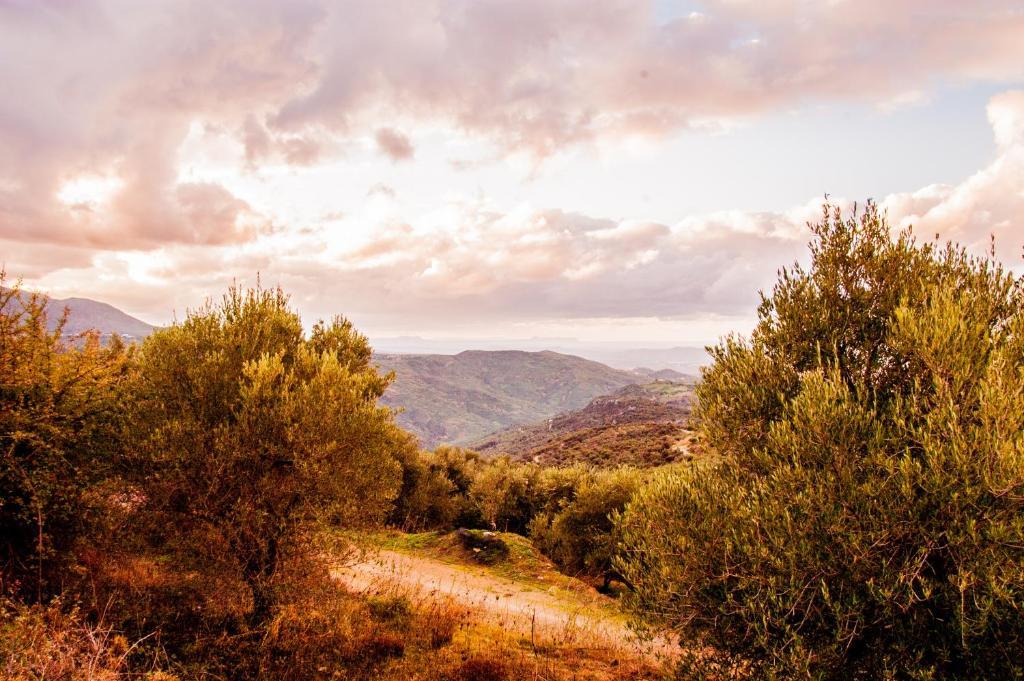 Axós Enagron Ecotourism Village المظهر الخارجي الصورة