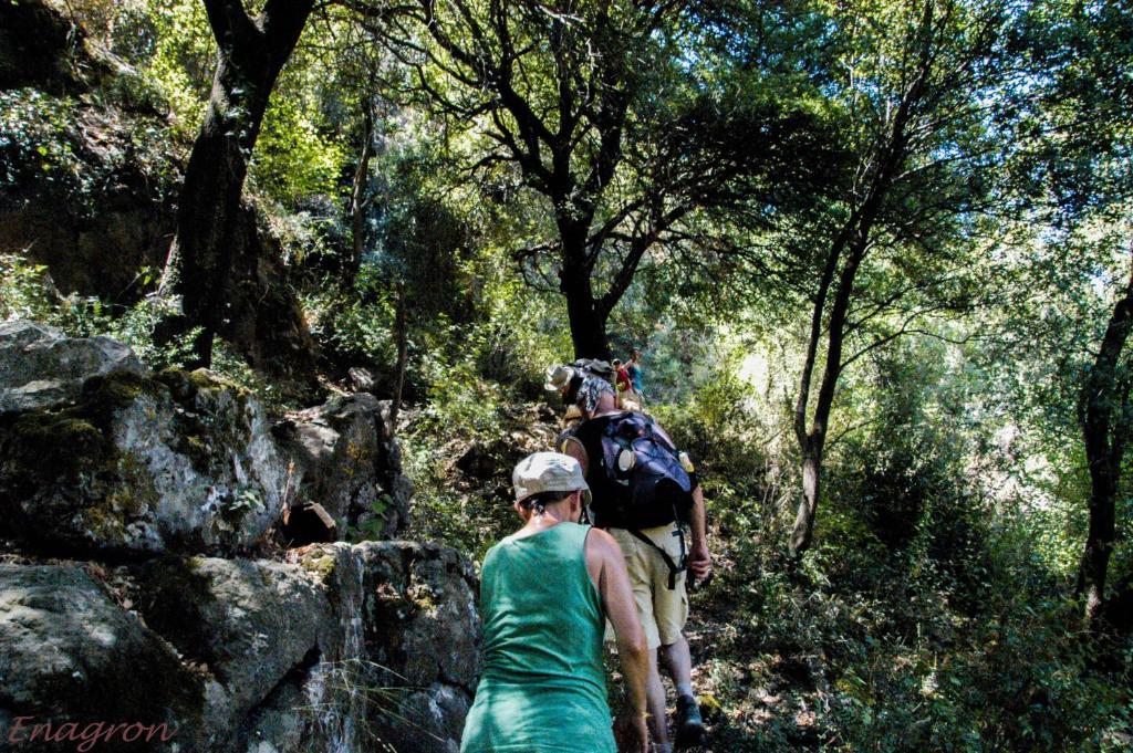 Axós Enagron Ecotourism Village المظهر الخارجي الصورة