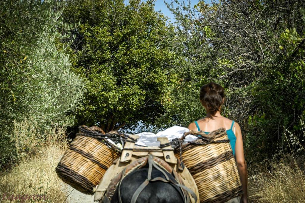Axós Enagron Ecotourism Village المظهر الخارجي الصورة