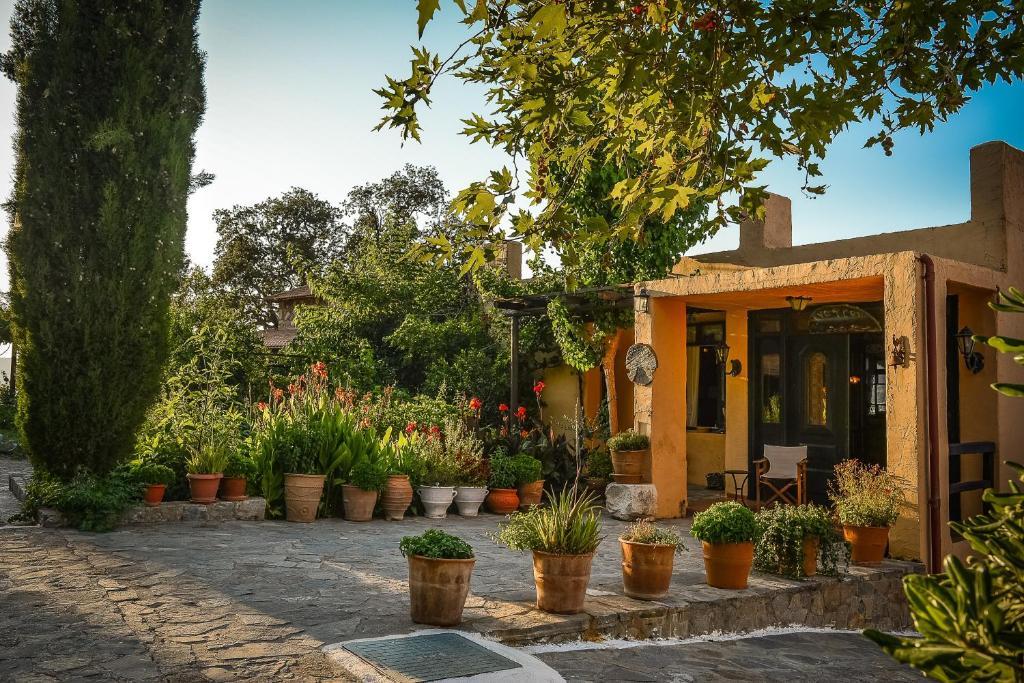 Axós Enagron Ecotourism Village المظهر الخارجي الصورة