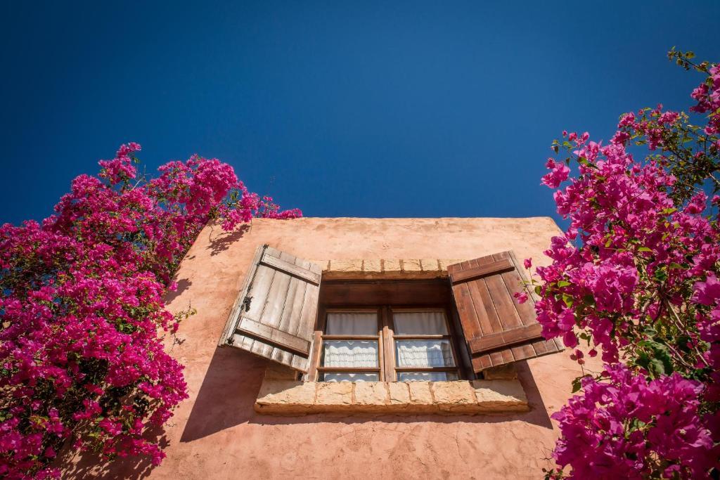 Axós Enagron Ecotourism Village المظهر الخارجي الصورة